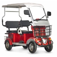 Электротрицикл Rutrike Gelbert Hara 48V/60V 600Вт